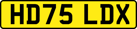 HD75LDX