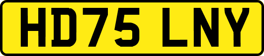 HD75LNY