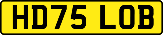 HD75LOB