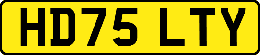 HD75LTY