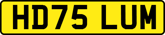 HD75LUM