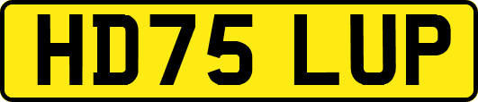 HD75LUP