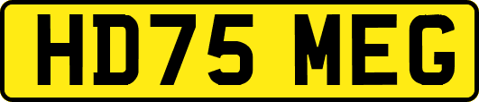 HD75MEG