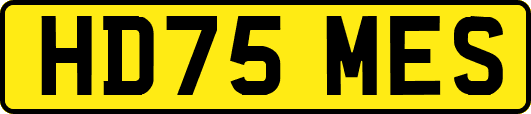 HD75MES