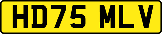 HD75MLV
