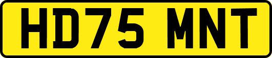 HD75MNT