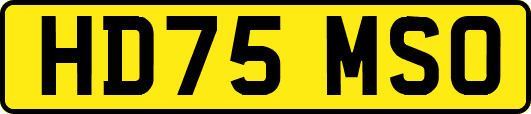 HD75MSO