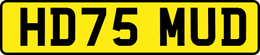 HD75MUD