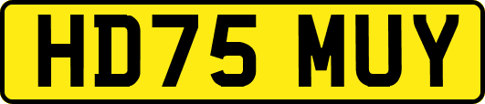 HD75MUY