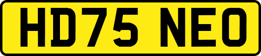 HD75NEO