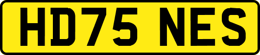 HD75NES
