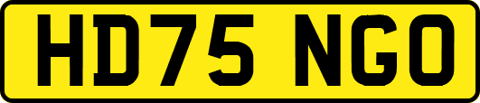 HD75NGO