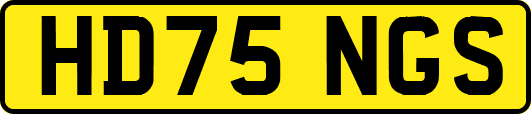 HD75NGS