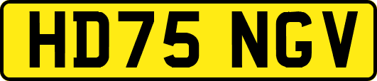 HD75NGV