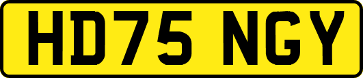 HD75NGY