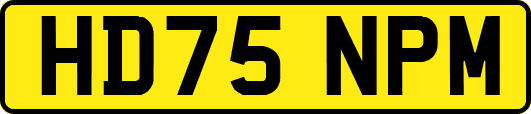 HD75NPM
