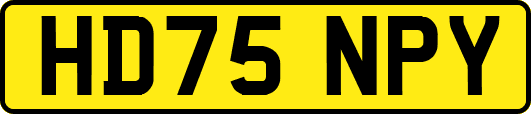 HD75NPY