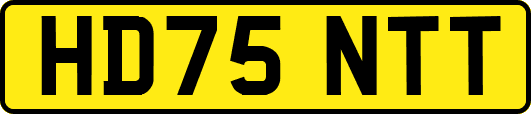 HD75NTT