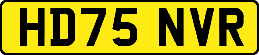 HD75NVR