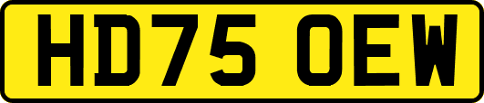 HD75OEW