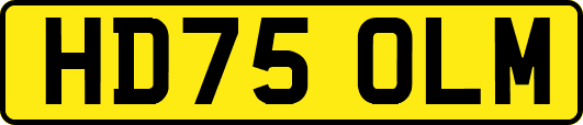 HD75OLM