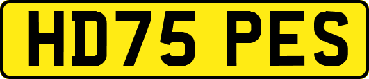 HD75PES