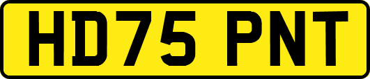 HD75PNT