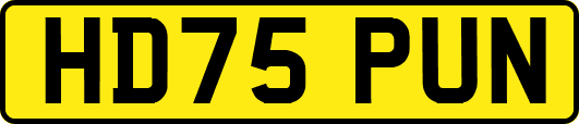 HD75PUN