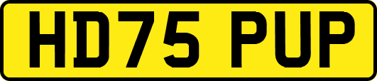 HD75PUP