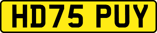 HD75PUY
