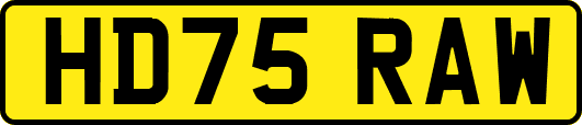 HD75RAW