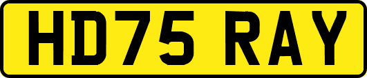 HD75RAY