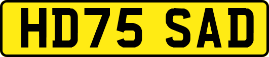 HD75SAD