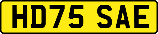 HD75SAE