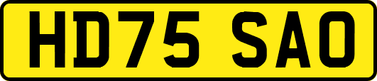 HD75SAO