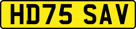 HD75SAV