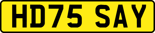 HD75SAY