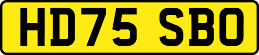 HD75SBO