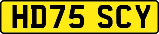 HD75SCY