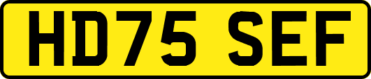 HD75SEF