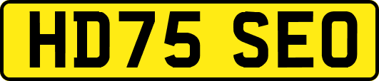 HD75SEO