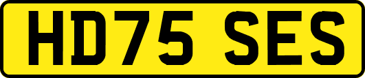 HD75SES