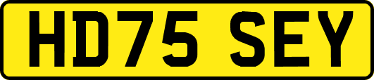 HD75SEY