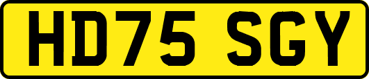 HD75SGY