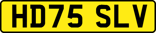 HD75SLV