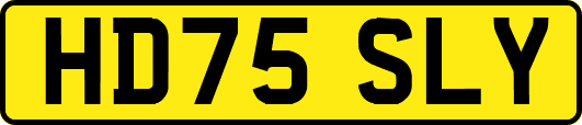 HD75SLY