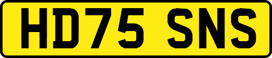 HD75SNS