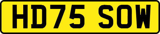 HD75SOW