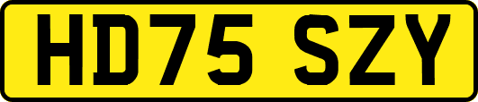 HD75SZY