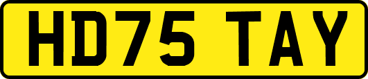 HD75TAY